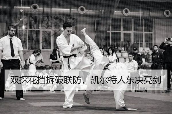 shuang-tan-hua-dang-chai-po-lian-fang-kai-er-te-ren-dong-jue-liang-jian-2-272.jpg
