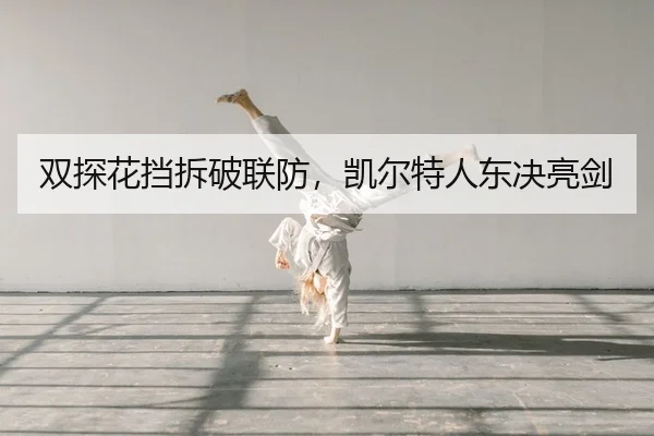 双探花挡拆破联防，凯尔特人东决亮剑